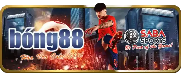 Tổng quan thị trường cá cược trực tuyến 2026
